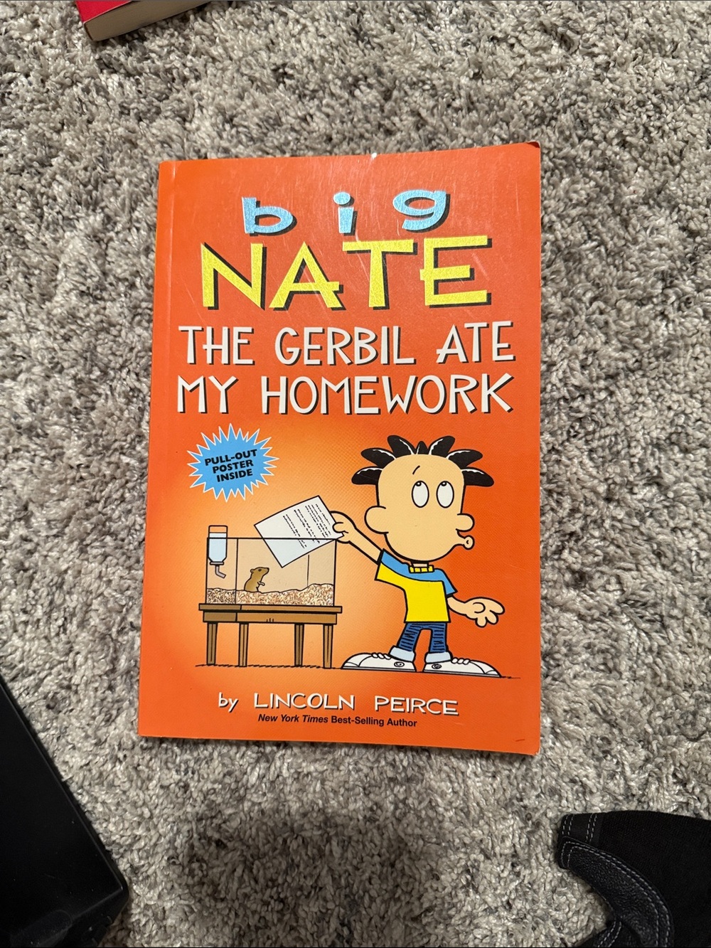 Big Nate: The Gerbil Ate My Homework - Orange Children's Book